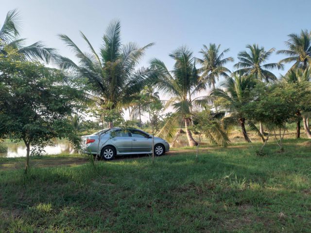 ขายที่ดิน 9 ไร่ 3 งาน 82 ตารางวา