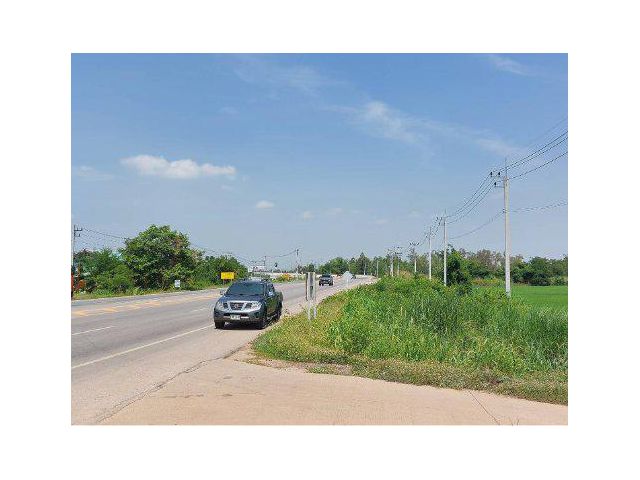 ขายที่ดิน 34 ไร่ ถ.พิษณุโลก-บางระกำ ต.บางระกำ อ.บางระกำ จ.พิษณุโลก