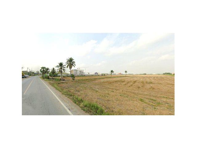 ขายที่ดิน 39 ไร่ ผังสีม่วง คลองเก้า ต.ลำลูกกา อ.ลำลูกกา จ.ปทุมธานี