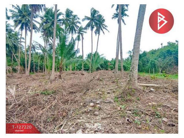 ขายที่ดินเปล่า เนื้อที่ 1 ไร่ 2 งาน 29 ตารางวา บ้านปรก เมืองสมุทรสงคราม