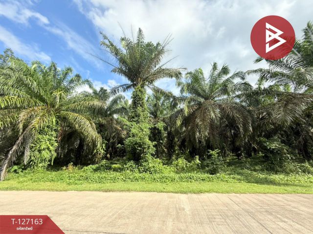 ขายที่ดินสวนปาล์ม เนื้อที่ 3 ไร่ 1 งาน 28.7 ตารางวา ท่าแซะ ชุมพร