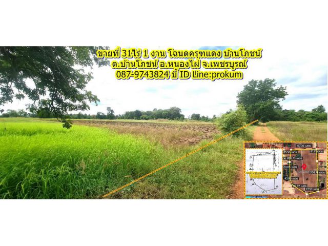 ขายที่ 31 ไร่โฉนดครุฑแดง