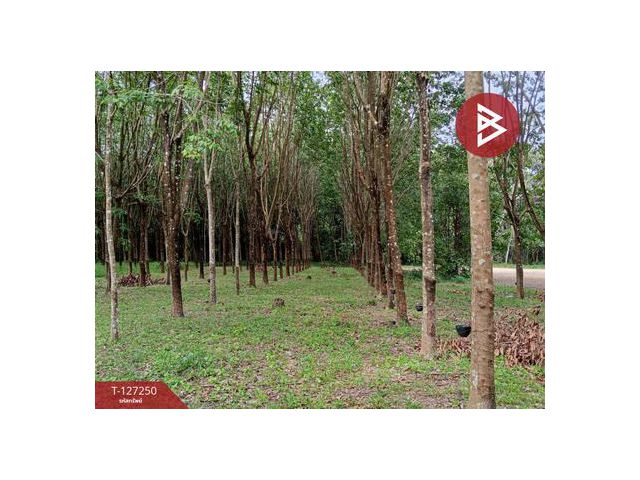 ขายที่ดิน เนื้อที่ 5 ไร่ 2 งาน 12 ตร.วา ม่วงสามสิบ อุบลราชธานี