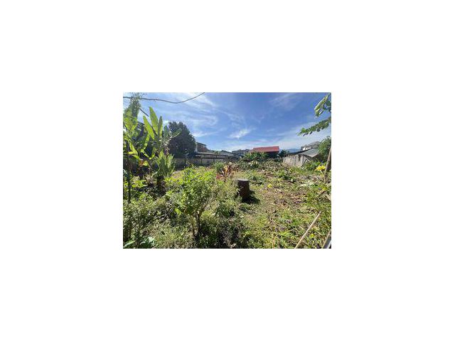 ขายที่ดินถนนสายวัฒนธรรม ถนนท่าแพ