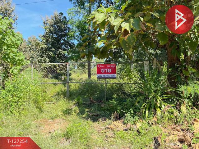 ขายที่ดิน เนื้อที่ 13 ไร่ 2 งาน 91.8 ตร.วา แม่แตง เชียงใหม่