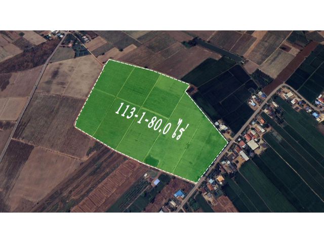 ขายไร่อ้อย เนื้อที่ 113-1-80.0 ไร่