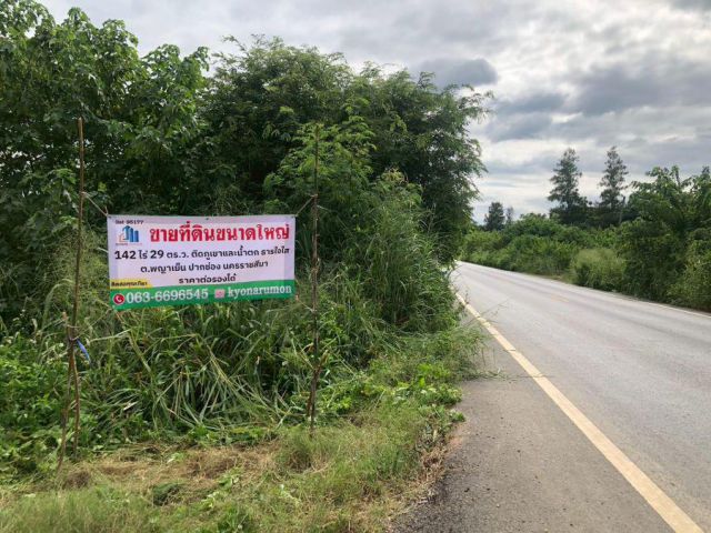 ขายที่ดิน ขนาดใหญ่ เนื้อที่ 142 ไร่ 29 ตรว ติดภูเขาและน้ำตก ธารใจใส ต.พญาเย็น ปากช่อง นครราชสีมา เหมาะกับรีสอร์ต ฟาร์ม ห