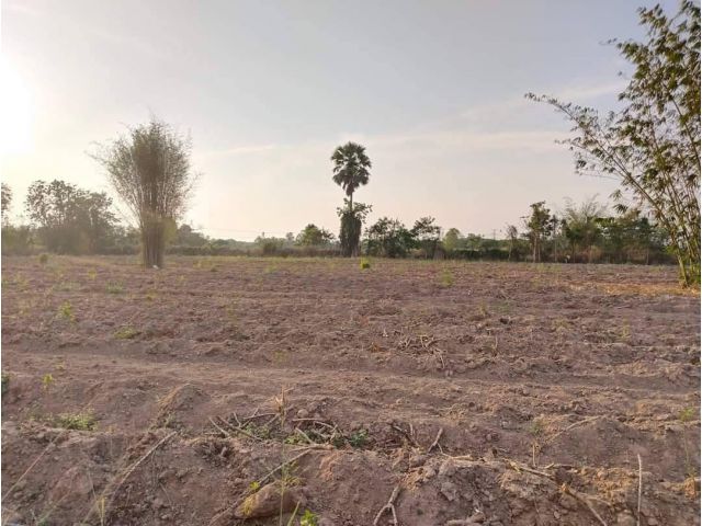 L1048 ขายที่ดิน ยกแปลง/แบ่งขาย 5 ไร่ เมืองราชบุรี