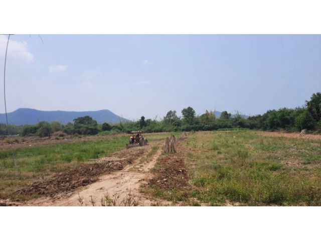 ขายที่ดิน 9 ไร่ ติดถนนสุขุมวิท ใกล้หาดบางเสร่ ต.บางเสร่ อ.สัตหีบ จ.ชลบุรี