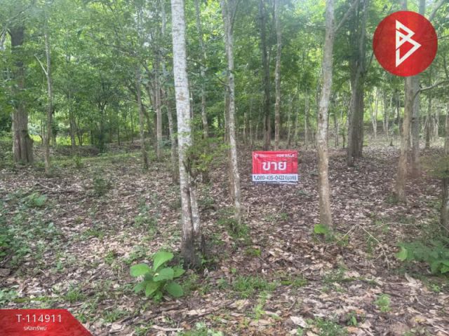 ขายที่ดิน เนื้อที่ 1 ไร่ 17 ตารางวา อ.ดอยสะเก็ด เชียงใหม่