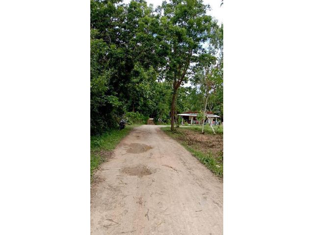 ที่ดิน อ.เชียงคาน จ.เลย ราคายกแปลง 10ไร่เศษ ยกแปลงแค่ 2.5 ล้าน