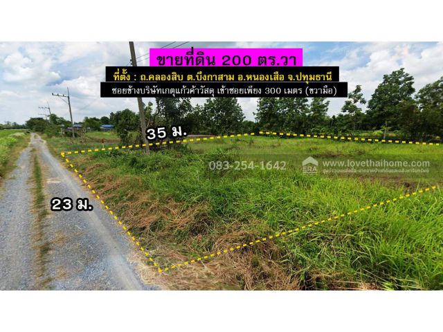 ขายที่ดินคลอง 10 หนองเสือ 200 ตารางวา ถูกกว่านี้ไม่มีอีกแล้ว