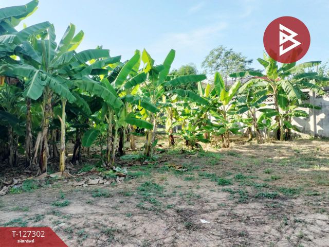 ขายที่ดิน เนื้อที่ 2 งาน ในเมือง พิษณุโลก