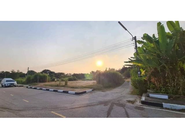 L1050 ขายที่ดินถมแล้ว 180 ตรว เมืองราชบุรี