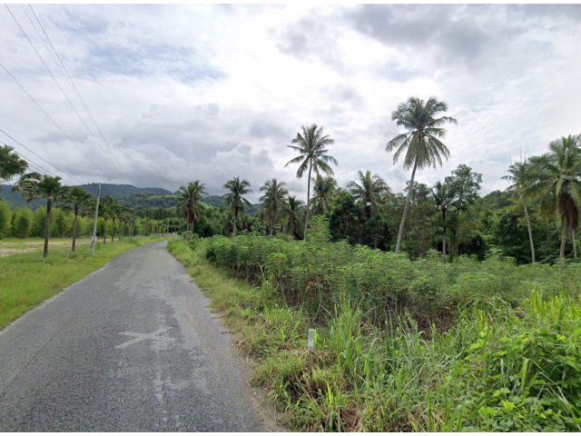 ขายที่ดินหนองขาม บ้านโค้งดาราเนื้อที่ 7 ไร่ ใกล้นิคมปิ่นทอง15กม. อ.ศรีราชา ชลบุรี