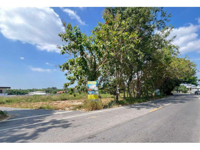 ขายที่ดินหนองปรือ พัทยา 5 ไร่ ซอยพรประภานิมิต34 ใกล้อ่างเก็บน้ำมาบประชัน2กม. อ.บางละมุง ชลบุรี