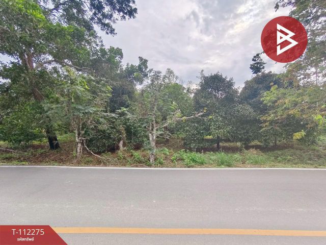 ขายที่ดิน เนื้อที่ 1 ไร่ 1 งาน 83 ตร.วา ท่าใหม่ จันทบุรี