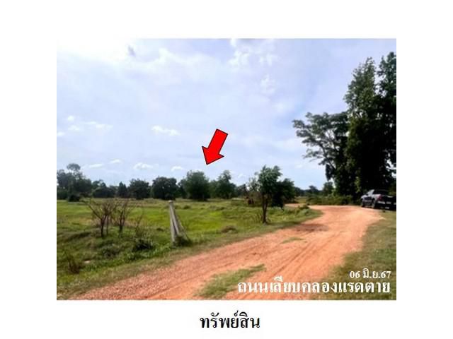 ขายที่ดินว่างเปล่า ถ.เลียบคลองแรดตาย อรัญประเทศ สระแก้ว
