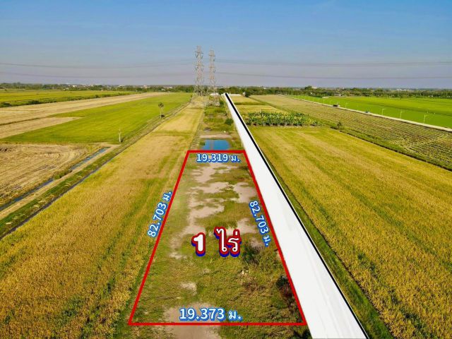 ขายที่ดินคลอง 8 ลำลูกกา ปทุมธานี️ห้ามพลาด ที่สวย ทำเลดี ️