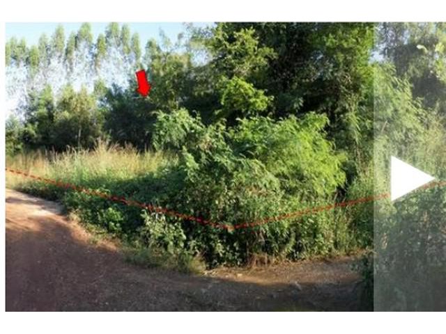 ขายที่ดินว่างเปล่า ต.สระแก้ว อ.เมืองสระแก้ว สระแก้ว