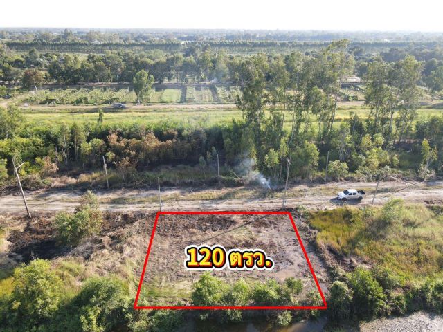 ขายถูกมากที่ดินแปลงเล็กห้ามพลาดมีเพียง 2 แปลงเท่านั้น ️คลอง 11 อ.หนองเสือ จ.ปทุมธานี