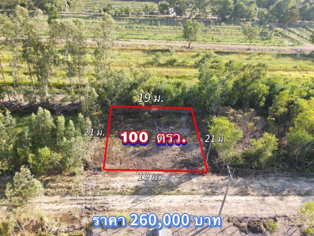 ️ขายถูกมากที่ดินแปลงเล็ก ห้ามพลาดมีเพียง 2 แปลงเท่านั้น ️คลอง 11 อ.หนองเสือ จ.ปทุมธานี