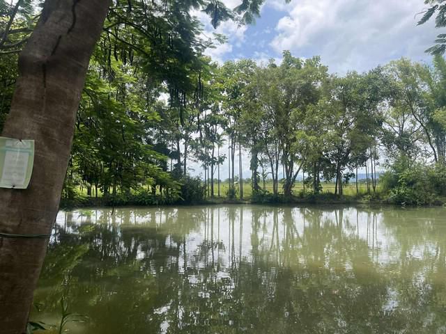 โฮมสเตย์วิวทุ่งนาให้เช่าบนเนื้อที่ 10 ไร่เศษ พร้อมสิ่งปลูกสร้าง