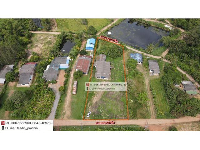 ขายที่ดินพร้อมบ้าน ติดคอนกรีต 2 ด้าน เขตบ่อทอง เนื้อที่ 1 ไร่ครึ่ง