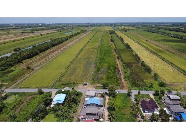 ขายที่ดินคลอง16 อำเภอ องครักษ์ เนื้อที่ 28ไร่ ขายถูกไร่ละ 450,000 บาท ห่าง มศว.องครักษ์ 7กม.ใกล้ตลาดต้นไม้คลอง15