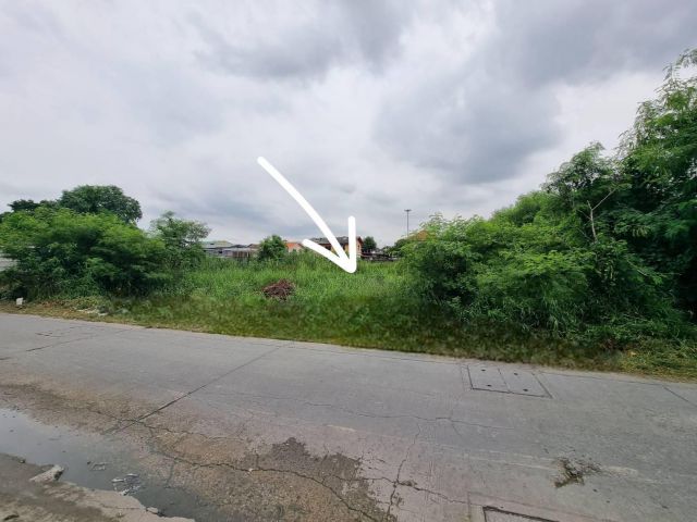 ขายที่ดิน 1ไร่ ซอยศรีด่าน ใกล้รถไฟฟ้า BTS แบริ่งหน้ากว้าง 29 x 57 ตารางวาละ35,000 บาท