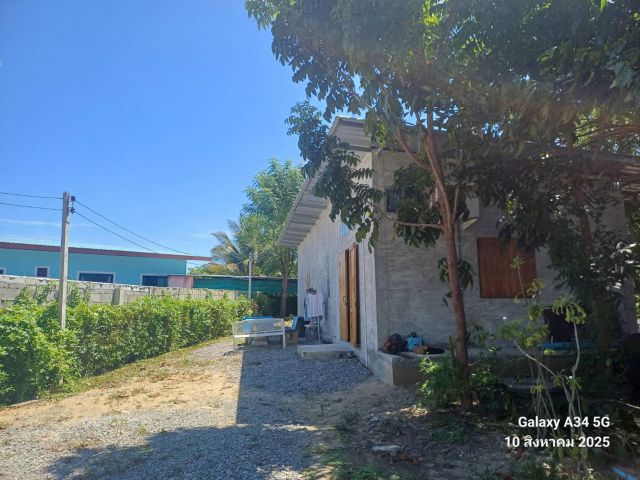 ขายบ้านพร้อมที่ดิน