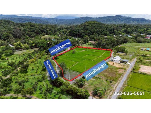 ขายที่สวย อ้อมกอดขุนเขา เขียวขจีรอบทิศ ต.สีนาวา อ.เมืองนครนายก