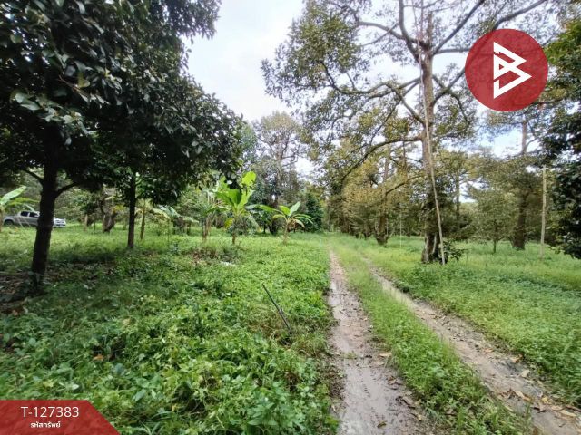 ขายที่ดินพร้อมสวน เนื้อที่ 2 งาน บ้านแลง ระยอง