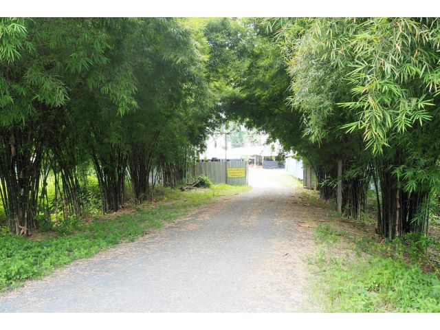 ขายที่ดินพร้อมสิ่งปลูกสร้าง 6 ไร่ บ้านร้องวัวแดง ต.ร้องวัวแดง อ.สันกำแพง จ.เชียงใหม่