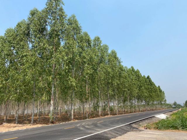 L1058 ขายที่ดินใกล้โรงพยาบาลสวนผึ้ง 19 ไร่ ราชบุรี