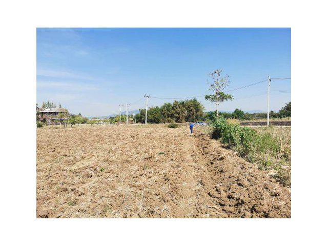 ขายที่ดิน 11 ไร่ ใกล้เขาใหญ่ คลองสมบูรณ์ ต.คลองม่วง อ.ปากช่อง จ.นครราชสีมา