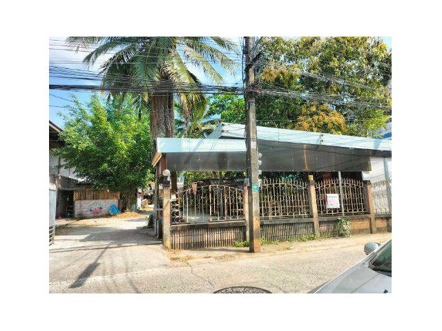 ขายที่ดิน 230 ตรว. พร้อมสิ่งปลูกสร้าง ถนนนกแก้ว ซอยทุ่งเศษฐี ต.กุดป่อง อ.เมือง จ.เลย