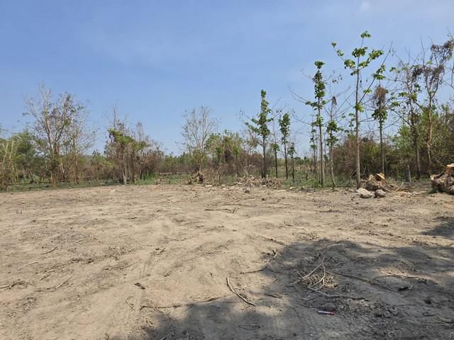 ที่ดินชำผักแพว แก่งคอย สระบุรี ผ่อนจ่ายได้ 1 ปี ไม่มีดอกเบี้ย