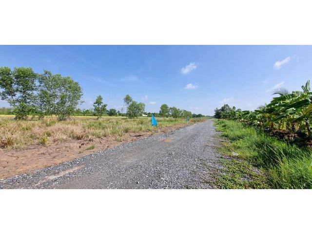 ที่ดินเงินผ่อน คลอง11หนองเสือ ผ่อนนาน48เดือน 100 ตรว.450,000