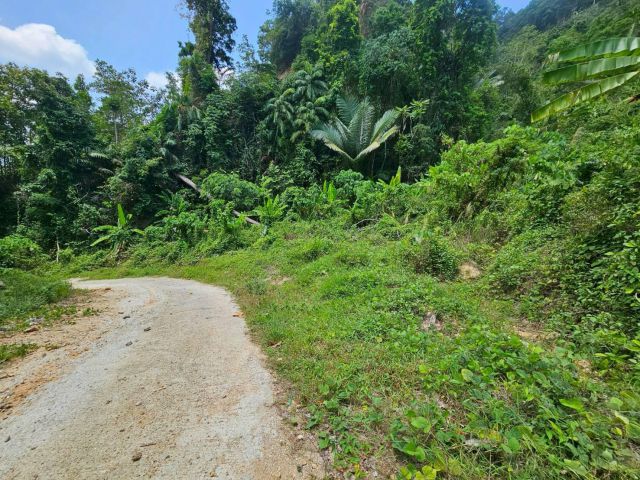 ขายที่ดิน 3 ไร่ ใกล้โรงเรียนนานาชาติ ต.กะทู้ อ.กะทู้ จ.ภูเก็ต