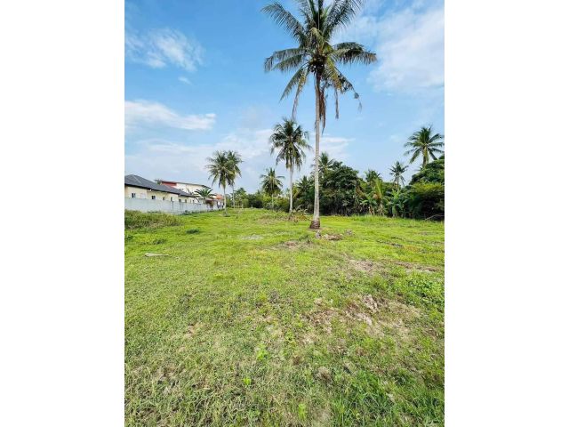 L1059 ขายที่ดิน 1 ไร่ บางละมุง ชลบุรี