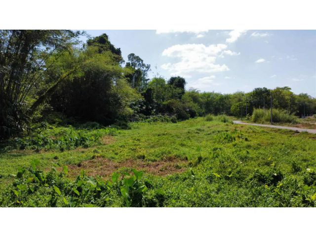 ขายที่ดิน 1 ไร่ ติดถนนน้ำตกโตนไทร ต.เทพกระษัตรี อ.ถลาง จ.ภูเก็ต