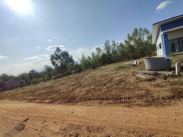 ขายที่ดิน 2 งาน 5 ตารางวา ราคา 3.2 แสนบาท