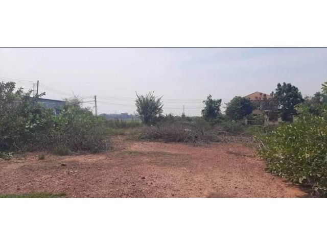 L1061 ขายที่ดินใกล้ตลาดศรีเมือง ถมแล้ว 103 ตรว ราชบุรี