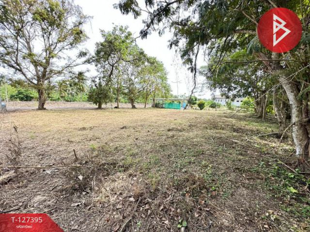 ขายที่ดิน เนื้อที่ 1 งาน บางคนที สมุทรสงคราม