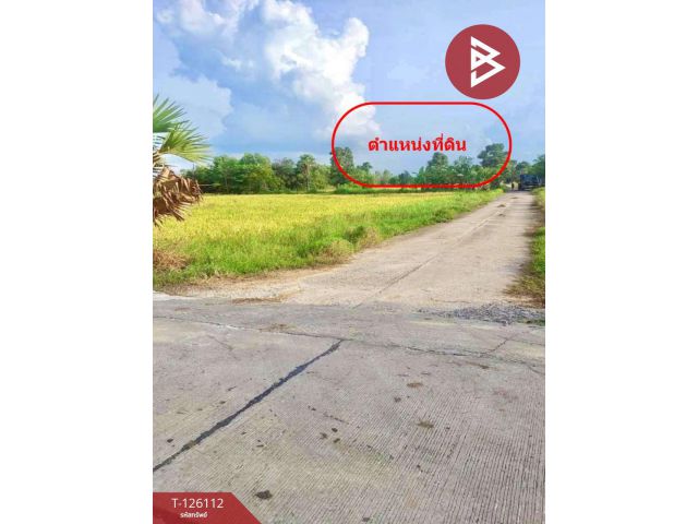 ขายที่ดิน เนื้อที่ 8 ไร่ 63 ตร.วา พิมาย นครราชสีมา