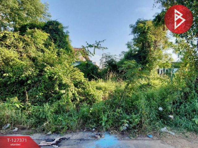 ขายที่ดิน พื้นที่ 112.8 ตารางวา หัวรอ เมืองพิษณุโลก