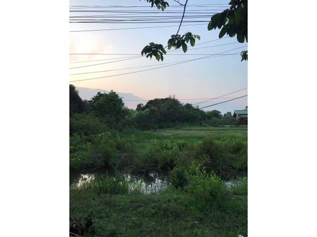 L1063 ที่ดินแบ่งขาย 300 ตรว เมืองราชบุรี