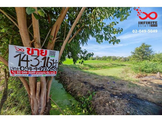 ขายที่ดิน 14ไร่ 316ตรว.ลำลูกกาคลอง 12 ลำลูกกา ปทุมธานี