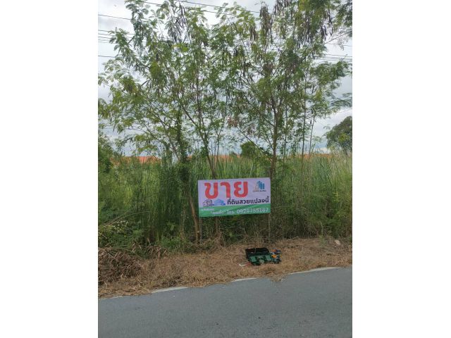 ที่ดินแปลงสวย ราคาดี จ.ปทุมธานี